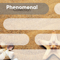 Focused Attention with Alpha Waves - Schlaf Musik Prime, Schlaflieder & Schlaflieder, Schlaf & Schlaf Musik Prime & Schlaf & Schlaflieder