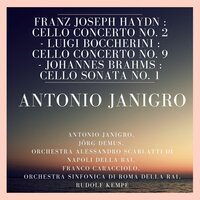Sonata for Violoncello and Piano No.1 In E minor, Op. 38 : I. Allegro ma non troppo - Antonio Janigro & Jörg Demus & Иоганнес Брамс