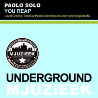 You Reap - Paolo Solo & Level Groove