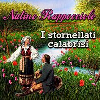 Terra bruciata - Natino Rappocciolo
