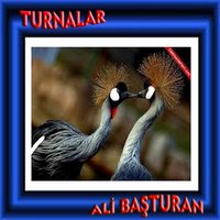 Dünya - Ali Başturan