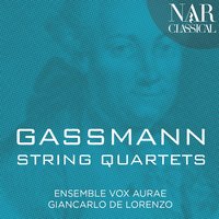 String Quartet in B-Flat Major: III. Allegro - Ensemble Vox Aurae & Giancarlo De Lorenzo