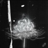 VOID - ForgetMeNow
