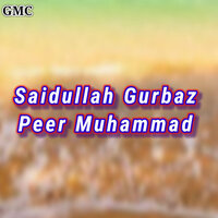Zarigi - Saidullah Gurbaz & Peer Muhammad