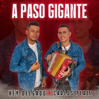 Me Decidí - Ney Delgado & Carlos Perez