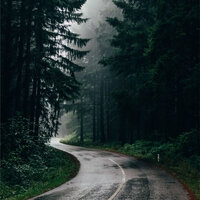 Rain Sounds for Inner Peace - Rain Sounds & Nature Recordings & The Rain Library