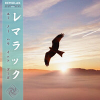 You Know How It Goes - Remulak