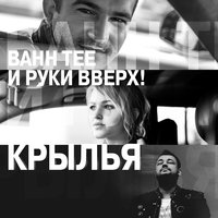 Крылья - Bahh Tee