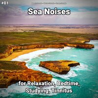 Sea Noises Pt. 2 - Beach Sounds & Nature Sounds & Ocean Sounds