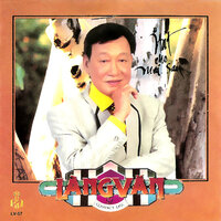 Bao Giờ Em Quên - Duy Khánh