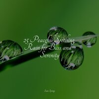Flowing Rains - Lluvia & Pro Sounds of Nature & Zen Meditate