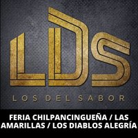 Feria Chilpancingueña / Las Amarillas / Los Diablos Alegría - Los Del Sabor LDS
