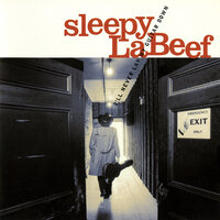 Hillbilly Guitar Boogie - Sleepy LaBeef
