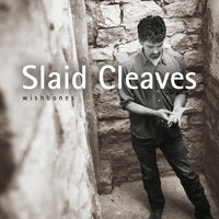 Quick as Dreams - Slaid Cleaves