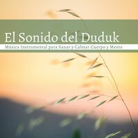 Sol Naciente - Armonia Florez