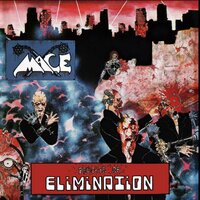 The Introduction - MACE