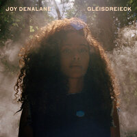 Schlaflos - Joy Denalane & Megaloh