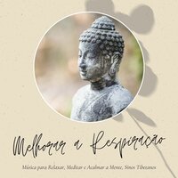 Meditar e Acalmar a Mente - Taças Tibetanas