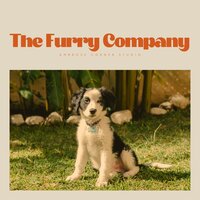 Horizon's Heartfire - Official Pet Care Collection