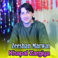 Za Janan Na Laram - Zeeshan Marwat