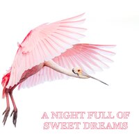 Delightful Endings - Baby Sleep Music & Schlaflieder Für Kinder & Música Relajante para Bebés