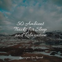 Gentle Sleep - Deep Sleep & Spa & Study Music Library