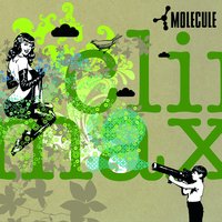 Beware - Nemo & Molecule