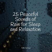 White Noise Rainy Forest - ReGen & Sons da natureza HD & Baby Sleep Music