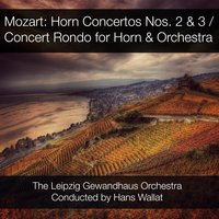Concerto No. 2 for Horn & Orchestra in E-Flat Major, K.417: I. Allegro - Вольфганг Амадей Моцарт & Erich Penzel