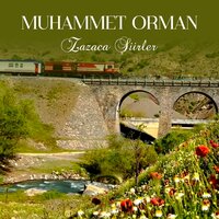 Trene Muş - Muhammet Orman