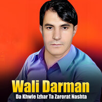 Ka Sal Zaya Khwarale Yam - Wali Darman