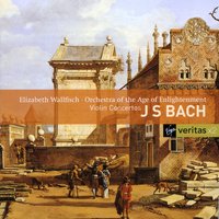 Violin Concerto in E BWV1042: I.       Allegro - Elizabeth Wallfisch & Johann Sebastian Bach