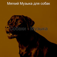 Созерцая (Спящие собаки) - Мягкий Музыка для собак