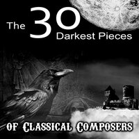 Blue Danube Waltz, Op. 314 - Maurycy Rubinstein & Иоганн Штраус-сын