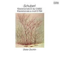Piano Sonata in D Major, Op. 53, D. 850 "Gasteiner Sonate": II. Con moto - Dieter Zechlin & Франц Шуберт