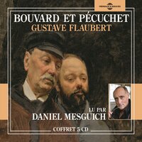 Bouvard et Pécuchet, Chapitre IV suite 2 - Daniel Mesguich