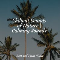Cosmic Drift - Study Power & Meditation Relaxation Club & Sleep Music