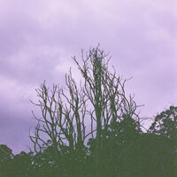 El Tiempo Retrocede - Relajante Academia de Música Zen & Relajante & Yoga Para Ninos