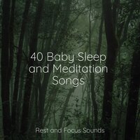 Tranquil Fields - Spa Relaxation & Deep Sleep Meditation & Meditação Maestro