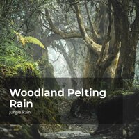 Jungle Steady Rain - Nature and Rain & Deep Rain Sampling & Jungle Rain