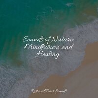 Mystic Quest - Chakra Balancing Sound Therapy & Relax Meditation Sleep & Meditation
