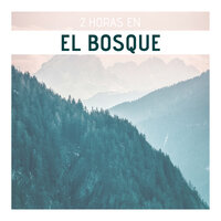 Las Cuatro Estaciones - Sonidos Naturales Relax & Música Instrumental Maestro
