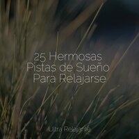 Calmar Aura - El hada de las canciones de cuna & Musica Relajante Specialistas & Musica Relajante & Mantra para Dormir