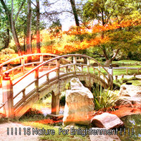 Экология для мозга - Nature's Spa Music (香草芬多精)