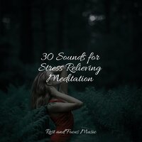 Restful Spirits - Studying Music & Sleeping Music & Anxiety Relief