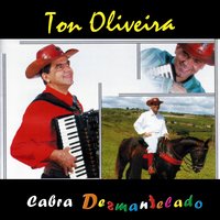 Direto pro Botequim - Ton Oliveira