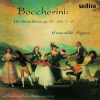 Andante Allegretto - Ensemble Agora & Луиджи Родольфо Боккерини