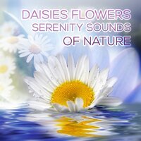Green Music (Nature Sounds) - Serenity Nature Sounds Academy