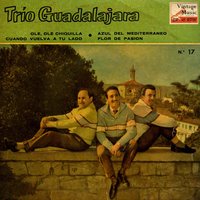 Azul Del Mediterraneo - Trío Guadalajara