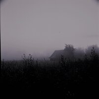 The Curse - Loman